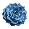 Blue Geometric Rosette