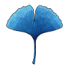 Ginkgo Blue Leaf Silhouette