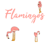 February Birthday Flamingo Saying Funny