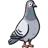 Whimsical Pigeon Portrait