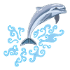 The dolphin's jump