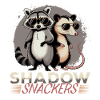 Funny Opossum and Raccoon