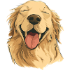 Smiling Golden Retriever