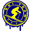 Ski Team 