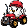 Pigeon Bird Tractor Farmer