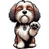 Havanese Havanese Owners Havanese Farmers