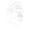 Illustration du singe casque
