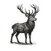 Detailed deer drawing