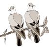Bunte Vögel