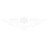 Motard Skull Wings
