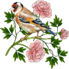 Bunter Vogel