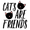 Cats Make Mischief in Pink Triangles