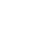 Evolution Railfan Train Locomotive