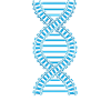 DNA Train Track Railfan Railroad Lover