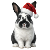 Bébé Lapin - Joyeux Noël