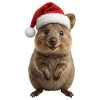 Smiling quokka with Christmas hat