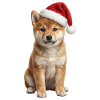 Shiba-Inu Puppy - Wuffi Noël