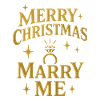 Christmas Engagement Ring Promise