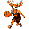 Hirsch Basketball Player