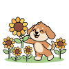 Light Worn Dog & Sunflowers