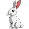 Bunny Bunny