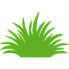 Grass