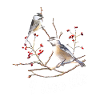  Chickadee Plush Birdwatcher Birding Chickadee