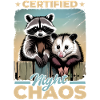 Funny Opossum and Raccoon