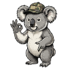 Koala in a camouflage hat