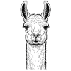 Lama