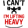 I can’t — I’m lifting heavy
