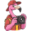 Funny Cool Flamingo Photographer with Camera