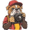 Funny Cool Bulldog Photographer with Camera