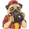 Lustiger cooler Mops-Fotograf mit Kamera