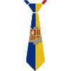 Romania Tie – Flag Design