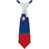 Cravate Slovénie – Conception du drapeau