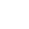 Statue of Liberty Skull Crown