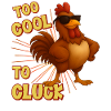 Too cool to cluck, chicken cool