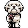 Malteser Maltese Owner Maltese Lovers