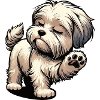 Malteser Maltese Owner Maltese Lovers
