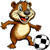 Biber Fussball