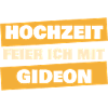 Bachelor Party Gideon