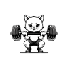 Gym Beginner | No Idea