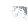 j'peux pas j'ai escalade