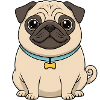 Cute Pug