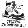 Wanderschuhschale von Compostela