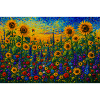 Sunny Sunflower Field