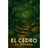 El Cedro – Mystical Forest Trail