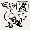 LES OISEAUX SONT FAUX