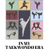 In my taekwondo era